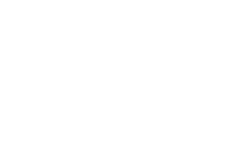 carpediemgroup.be
